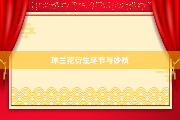 球兰花衍生环节与妙技